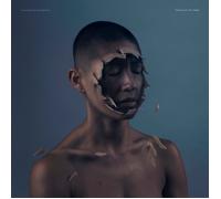 Manchester Orchestra - The Valley Of Vision [VINYL]