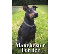 Manchester Terrier: Dog breed overview and guide