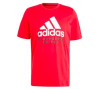 Manchester United FC Men's Personalised 2023 2024 Man Utd DNA Graphic Tee Red | Size: Medium Manchester United FC Red M
