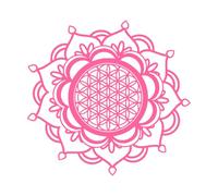 Mandala Flower of Life Sacred Geometry Zen Buddha Lotus Lettering Stickers 54x56.6cm Art Decoration Pink
