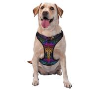 Mandalas Dragonfly Pattern Dog Harness - Lightweight,Soft,Adjustable Small Harness and Leash Set, Suitable for Puppy Small and Medium-Sized Dog-Large