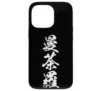 MANDARA 曼荼羅 - Japanese Calligraphy, Sacred Pattern Case for iPhone 13 Pro