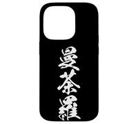 MANDARA 曼荼羅 - Japanese Calligraphy, Sacred Pattern Case for iPhone 14 Pro