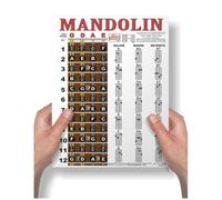 Mandolin Chord Chart Fretboard Notes Note Map Poster 8.5x11