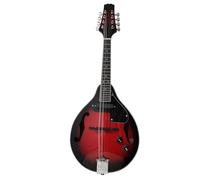 Mandolin Eight-string Mandolin Tibetan Mandolin Guitar National Musical Instrument Electric Mandolin(D)