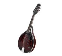 Mandolin Instrument Electric Tibetan Mandolin Guitar