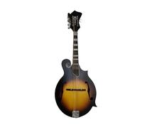 mandolin instrument F style eight string acoustic mandolin for beginners