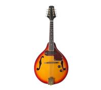 Mandolin Instrument For Beginners 8 Strings Electric Mandolin Classical Melodic Instrument A Style Electric Mandolin With Carrying Backpack Cloth(Mandolin)