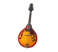 Mandolin Instrument For Beginners Electric Mandolin 8-string Electric Mandolin String Instrument Professional Adult Performance Type