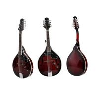 Mandolin Instrument For Beginners Electric Mandolin Instrument Performance Mandolin Electric Mandolin Beginner Adult Instrument