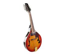 Mandolin Instrument For Beginners Electric Mandolin Performance Type Professional String Instrument Mandolin Eight-string Instrument With Accessories