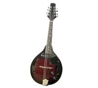 Mandolin Instrument For Beginners Electric Mandolin Professional String Instrument Beginner Adult Mandolin Electric Dual Mandolin