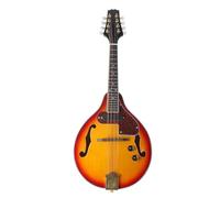 Mandolin Instrument For Beginners Mandolin A Style 8-String Basswood Body Wood Fingerboard Adjustable String Instrument For Benginners(Style 2)