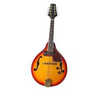 Mandolin Instrument For Beginners Professional 8 Strings Electric Mandolin Classical Instrument A Style Electric Mandolin With Carrying Backpack Cloth(Mandolin Set)
