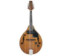 Mandolin Instrument For Beginners Professional Beginner Eight-string Mandolin Electric Mandolin Instrument Performance Type(E)