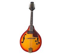 Mandolin Instrument For Beginners Professional Electric Mandolin Instrument Mandolin Electric Box Eight-string Instrument Beginner Adult Instrument
