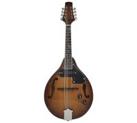 Mandolin Instrument For Beginners Professional Musical Instrument Mandolin For Beginners Eight-string Electric Mandolin Performance Instrument(C)
