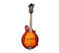 mandolin instrument Handcrafted professional mandolin instrument suitable for adult practice