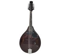 Mandolin Instrument Kit Eight-string Mandolin Tibetan Mandolin Guitar National Musical Instrument Electric Mandolin(C)