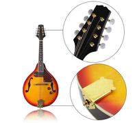 Mandolin Instrument Kit Electric Mandolin Set 8 Strings A Style Electric Mandolin With Case Strings For Beginners Practice Instruments(Mandolin)