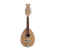 Mandolin Instrument Kit Gourd-shaped Treble Mandolin Gourd-shaped Mandolin Eight-string Instrument With Leather Box 8-wire Steel Strings(B)