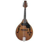 Mandolin Instrument Kit National Musical Instrument Mandolin Guitar Eight-string Mandolin Electric Mandolin(C)