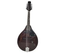 Mandolin Instrument Kit National Musical Instrument Mandolin Guitar Eight-string Mandolin Electric Mandolin(B)