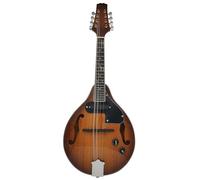 Mandolin Instrument Kit National Musical Instrument Mandolin Guitar Eight-string Mandolin Electric Mandolin(D)