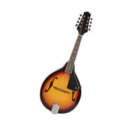 Mandolin Instrument Performance Level Instrument Mandolin Eight-string Instrument