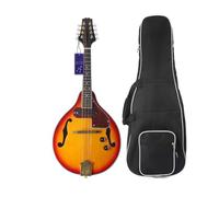 mandolin instrument Professional 8 string electric mandolin suitable for beginners