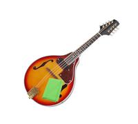 mandolin instrument Professional electro acoustic mandolin eight string instrument