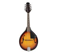 Mandolin Instruments 8string Linden Wood Ebony Mandolin Set With A Case Suitable For Beginners Practice With The Provided Strings(Mandolin)