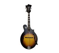 Mandolin Instruments F Type Mandolin An Acoustic Eight Stringed Instrument For Beginners(2)