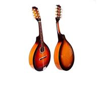 Mandolin Instruments For Beginners Mandolin Octave Soprano Beginner Adult Professional