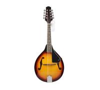 Mandolin Instruments Mandolin An 8string Electric Eight String Instrument For Beginners And Adults(1)