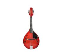 Mandolin Instruments Mandolin An Eight Stringed Instrument Suitable For Adults And Beginners Is Durable(5)