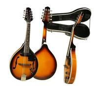 Mandolins Instrument for Adults Electric Sound Full Single Mandolin Musical Instrument Folk Musical Instrument With ABS Hard Case