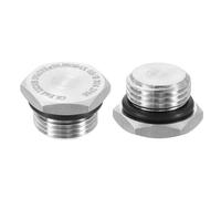 Mandouer 2Pcs 3/8" G Stainless Steel Pipe Plug with O-Ring, Hexagon Male Threaded Stop End for Water, Air, Fuel, Oil, Hydraulic Systems