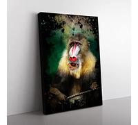Mandrill Baboon Monkey Modern Cb Canvas Wall Art Print Ready to Hang, Framed Picture for Living Room Bedroom Home Office Décor, 60x40 cm (24x16 Inch)