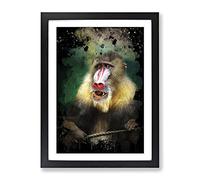 Mandrill Baboon Monkey Modern Cb Framed Wall Art Print, Ready to Hang Picture for Living Room Bedroom Home Office Décor, Black A4 (34 x 25 cm)