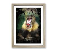 Mandrill Baboon Monkey Modern Cb Framed Wall Art Print, Ready to Hang Picture for Living Room Bedroom Home Office Décor, Oak A3 (34 x 46 cm)