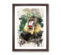 Mandrill Baboon Monkey Modern Fc Framed Wall Art Print, Ready to Hang Picture for Living Room Bedroom Home Office Décor, Walnut A4 (34 x 25 cm)