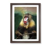 Mandrill Baboon Monkey Modern Framed Wall Art Print, Ready to Hang Picture for Living Room Bedroom Home Office Décor, Walnut A3 (34 x 46 cm)