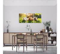 Manfei Cute Guinea Pig Canvas Wall Art,Cartoon Animals Pet Countryside Wall Painting for Girls Women,Leaves Plants Botanical Rustic Farmhouse Poster Pictures,Watercolor 3 Pieces Framed Canvas Wall Art