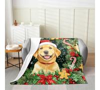 Manfei Labrador Flannel Blanket Throw Blanket Red Berries Cozy Throws for Bed Couch Sofa,Kids Boys Girls Room Decor,Soft and Breathable(30 x 40 Inches)