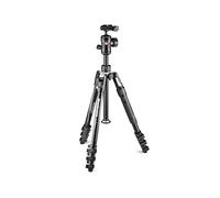 Manfrotto Befree 2N1 tripod Digital/film cameras 3 leg(s) Black. Silve