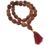 Mangal Rudraksha Kavach 3 Mukhi Kantha For Removing Mangal (Mars) Planet Dosh 32+1
