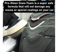 (Mango) ProKleen Snow Foam Car Shampoo & Nilfisk Lance Kit
