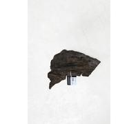 Mangrove root aquarium decoration Aquavie