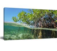Mangrove Trees Roots Above And Below The Water Wall Art Canvas Prints Painting Nature Pictures Unframed Paintings Canvas Wall Art Vintage For Living Room Bedroom Kitchen Home And Office 12x16 Inch